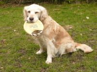 Camilla Hat Geburtstag 13 Jahre